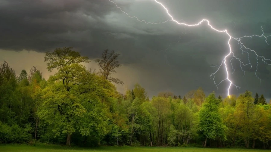 В Украине ожидаются грозы и шквалы