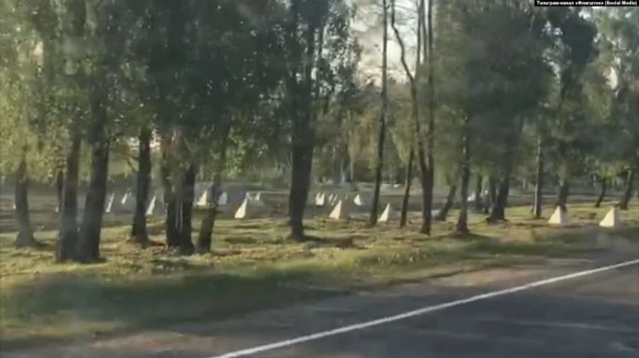Зуби дракона в Білорусі: укріплення під Гомелем тягнуться на 2 км – фото з супутника