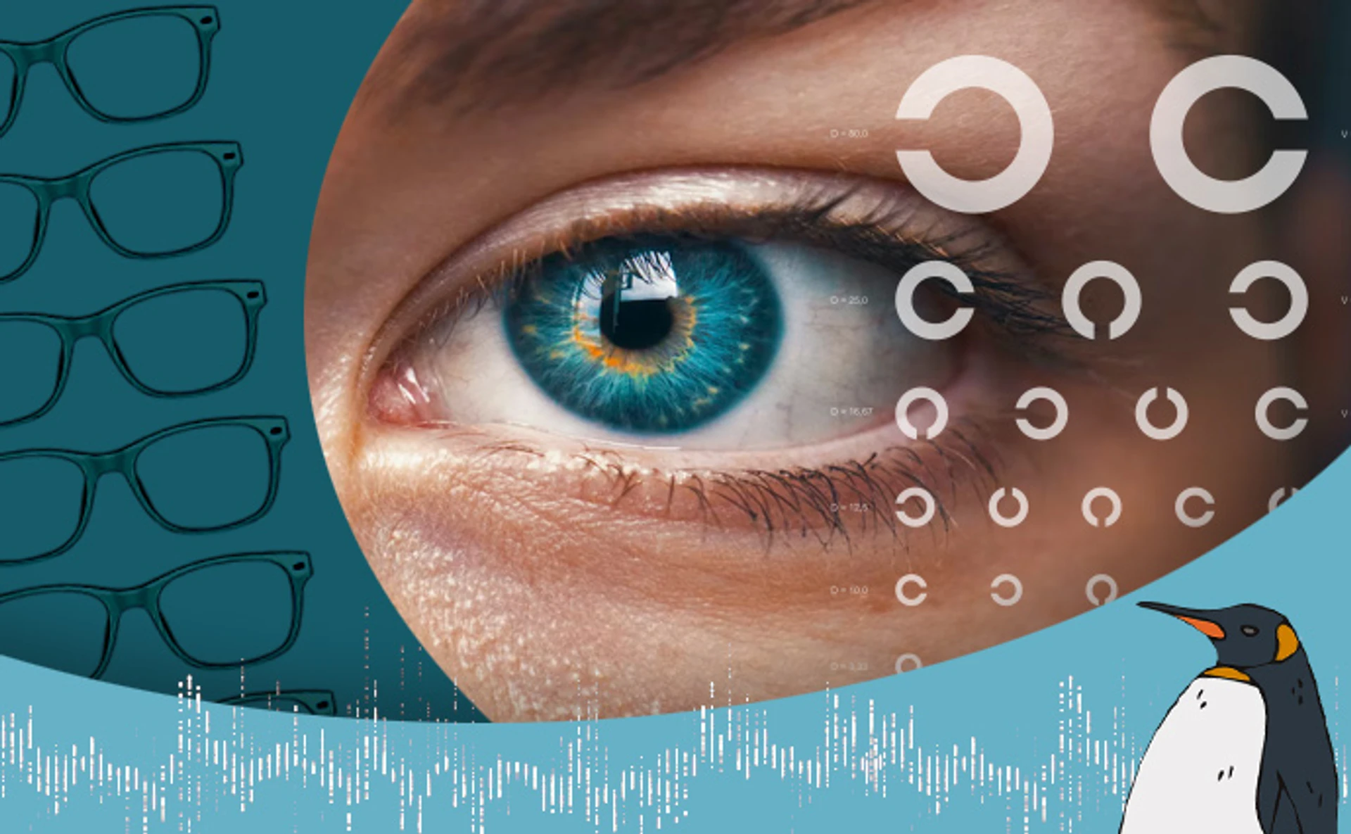 Ваше зрение слишком ценно, чтобы верить дезинформации о здоровье глаз. Разговор с офтальмологом