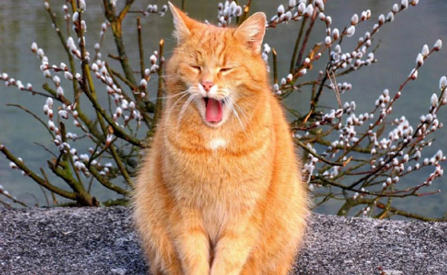 В Украину забежит арктический воздух