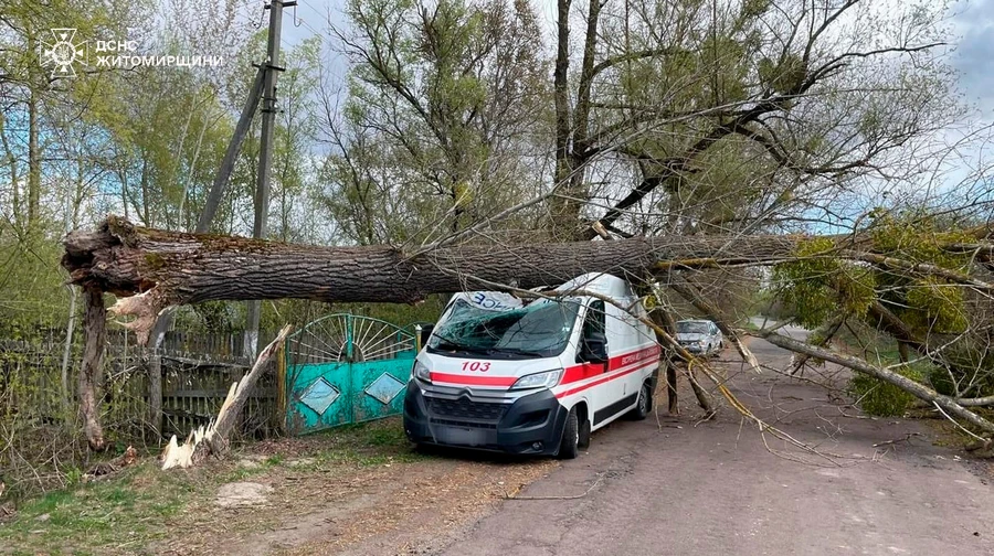 ДСНС: На Житомирщині дерево впало на швидку, на Київщині падіння дерев спричинило пожежу