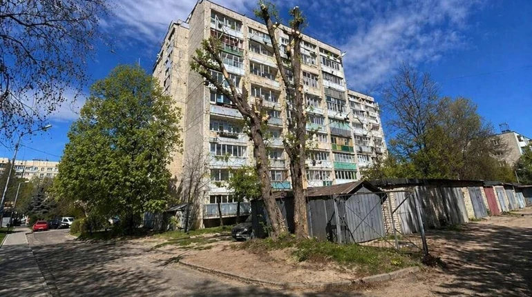 У Львові замість звіту про обрізку дерева опублікували ШІ-зображення