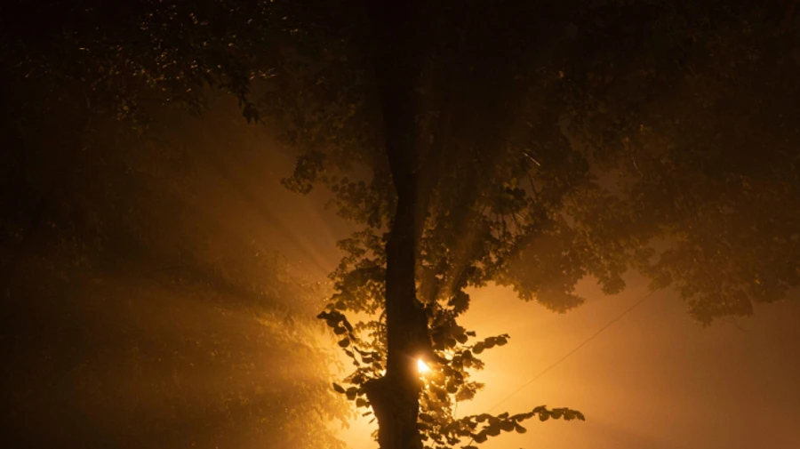 У найближчі дні синоптики обіцяють прохолодну і вологу погоду