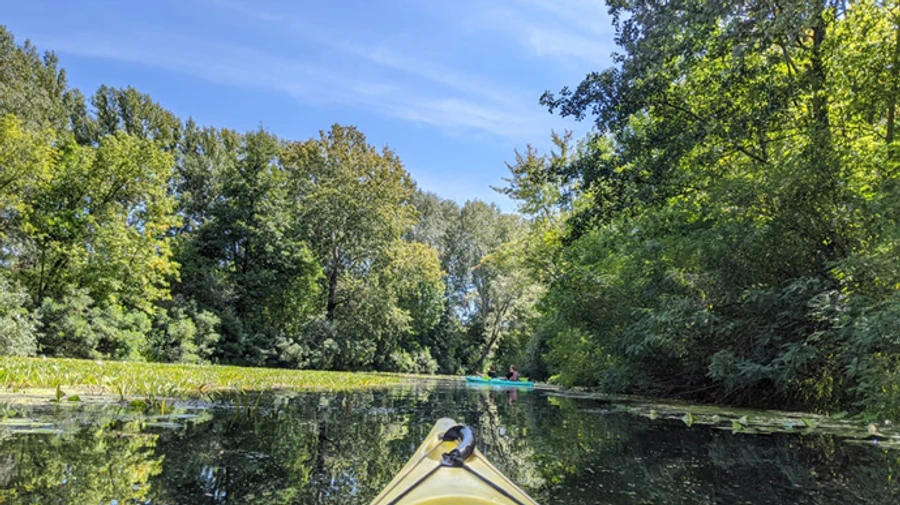 Синоптик прогнозує кисло-солодку погоду