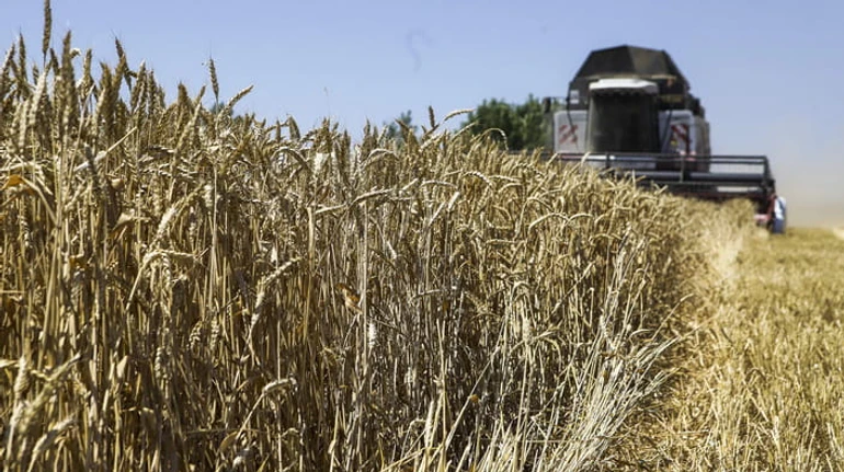 Продажа земли иностранцам из ЕС: что подсказывает Украине опыт европейских стран