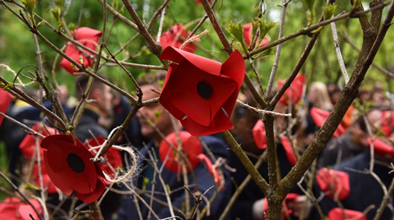 Почему День памяти и победы над нацизмом в Украине теперь празднуют 8 мая?
