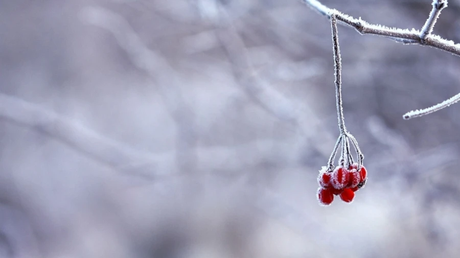 На выходных ожидают снег с дождем и похолодание 