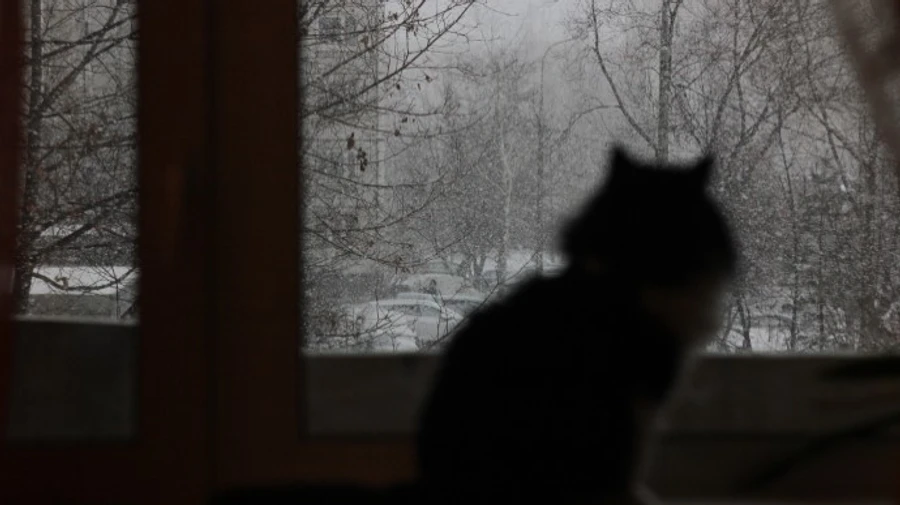 Снегопад надвигается: спасатели предупреждают об ухудшении погоды