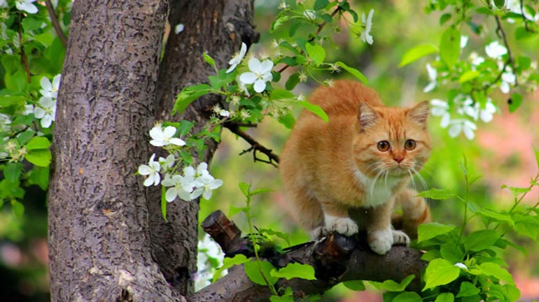 Синоптик повідомила, коли вщухне вітер і потепліє