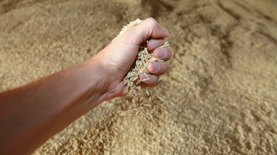 Poland finds new reason not to lift ban on Ukrainian agricultural imports