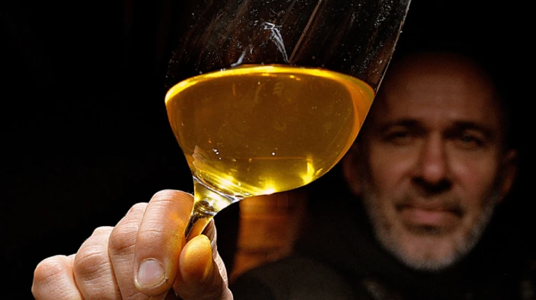 Виноробня Biologist: як під Києвом вирощують Тельті Курук та створюють прадавні вина