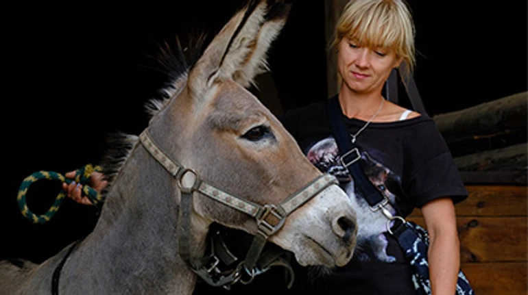 Бізон-сирота, віслюк з-під Бахмута й поросята з передової. Як у знищений росіянами екопарк на Харківщині повертаються тварини та життя