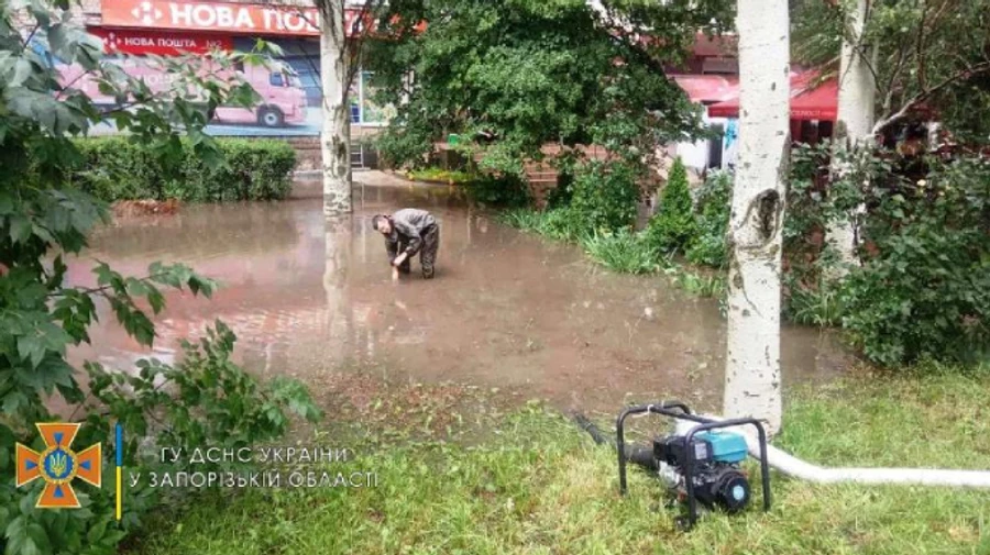 Подтопленные подвальные помещения, поваленные деревья: на Запорожье налетела гроза