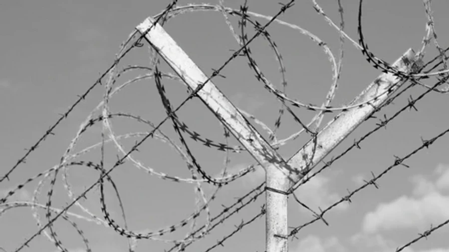 Ukrainian parliamentary committee reveals how many Ukrainian journalists remain in Russian captivity