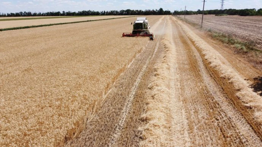 Польский еврокомиссар пригрозил заблокировать беспошлинную торговлю Украины с ЕС