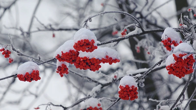 Синоптики рассказали, каким будет февраль