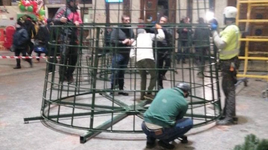 Ялинку з центрального вокзалу знайшли й коштує вона вдесятеро дешевше – УЗ