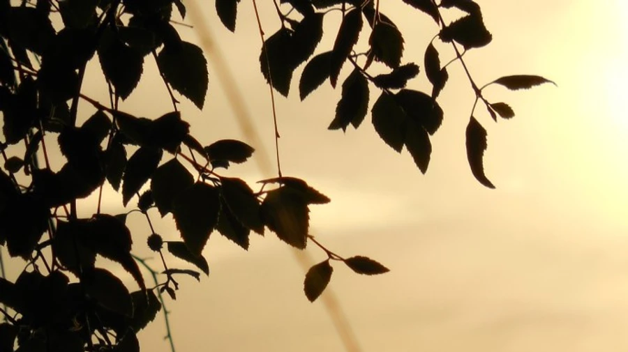 Погода: в Украину идет скандинавский антициклон