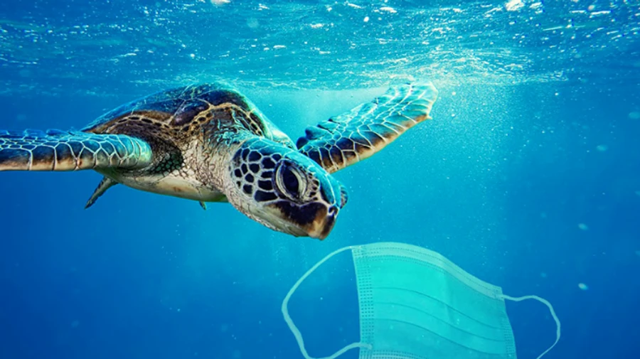 WWF: Щодня у світі використовують 7 мільярдів масок