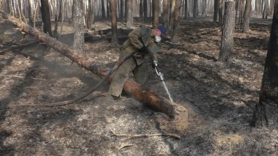 Грози не допомогли остаточно подолати тління на Київщині та Житомирщині