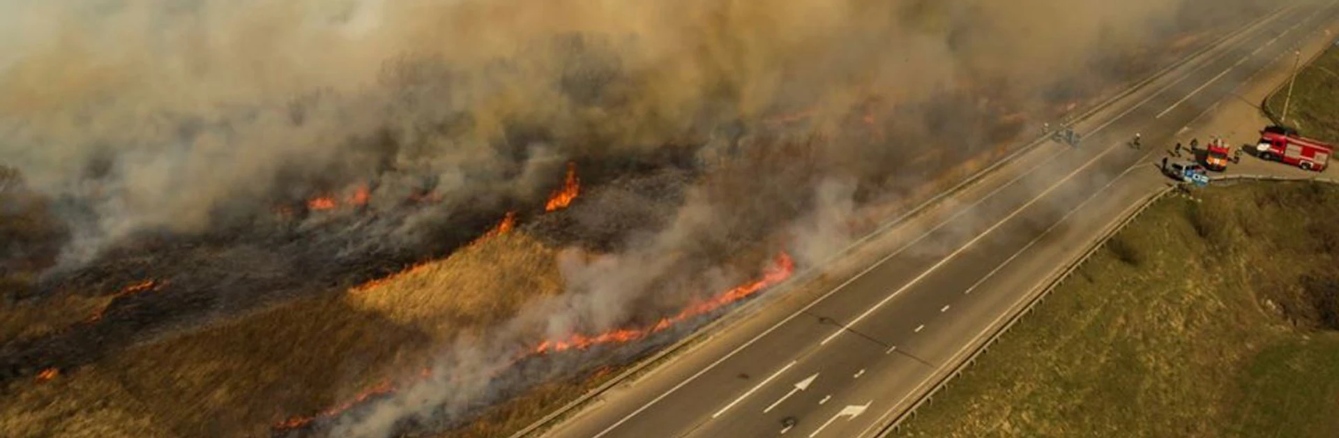 У чому загроза пожеж у Чорнобильській зоні і що з цим робити? Пояснює екологиня