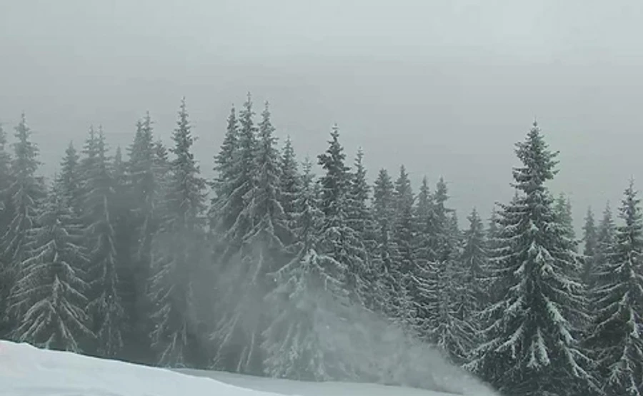 У Карпатах випало по коліна снігу