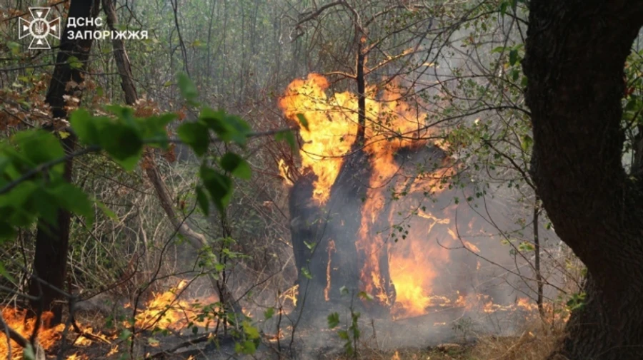 Рятувальники другу добу гасять пожежу на острові Хортиця