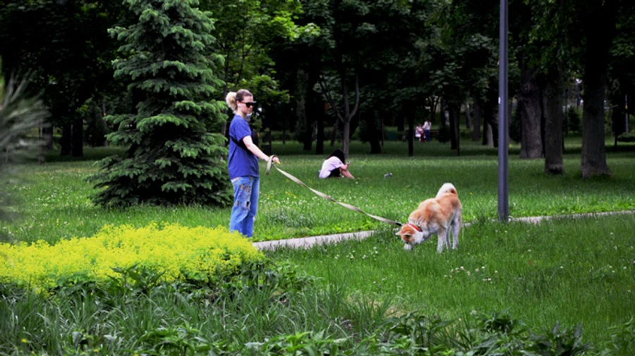 На Київщині горять торф’яники: влада дала поради киянам 