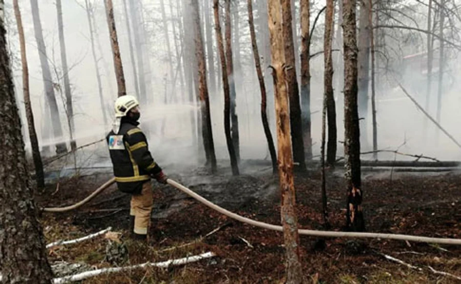 Синоптики поки дощів не прогнозують, але повітря у Києві приходить до норми 