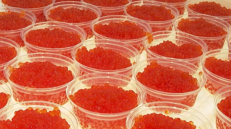 У Росії заявили, що Віткофф повіз від них ящик ікри для Трампа