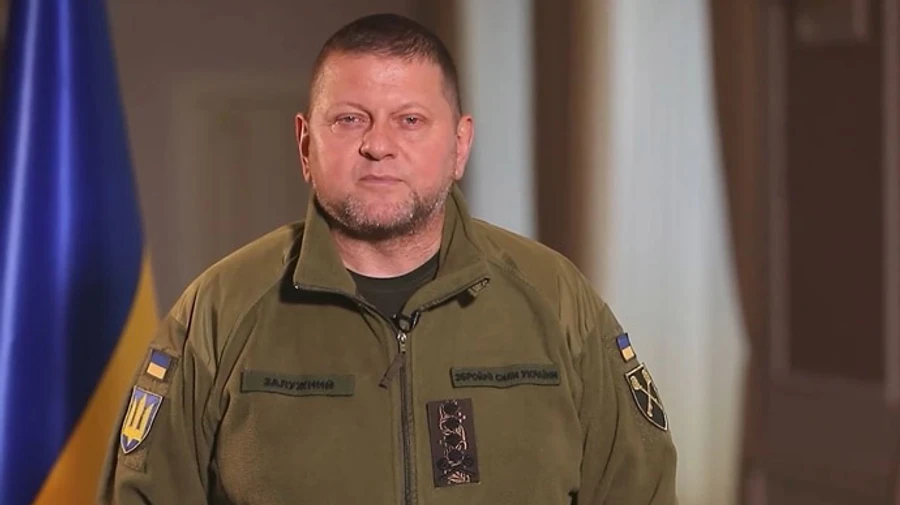 В борьбе рождается нация: Залужный опубликовал поздравление к Новому году