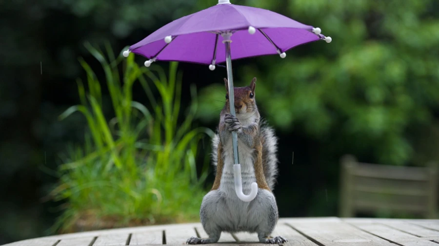 Украинцев ждет дождливый, но теплый уик-енд