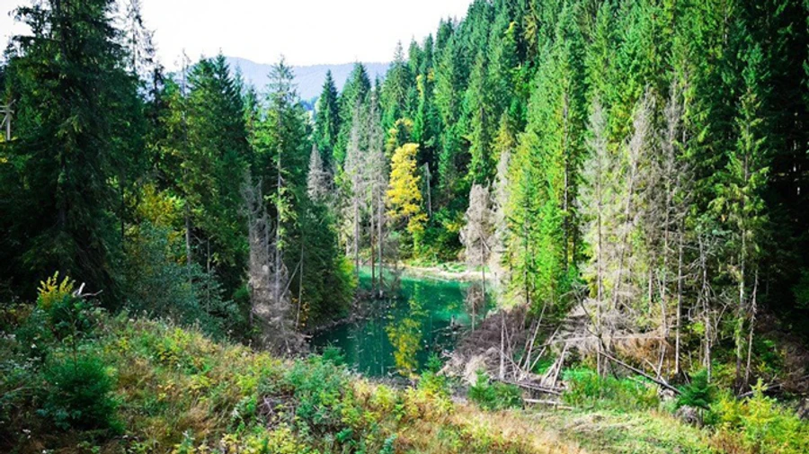 У Карпатах через зсуви ґрунту зникло ціле озеро, що було туристичною атракцією