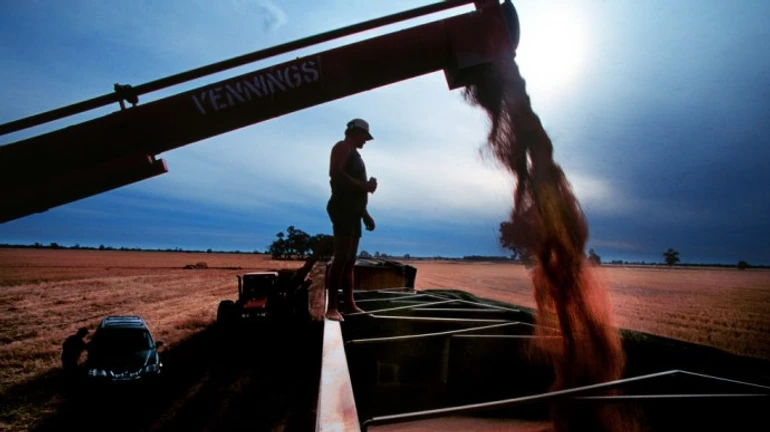 Ukraine to temporarily stop grain export to Poland – Polish minister