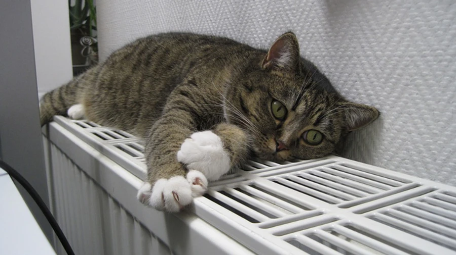 Кличко: Треть Киева уже с теплом 