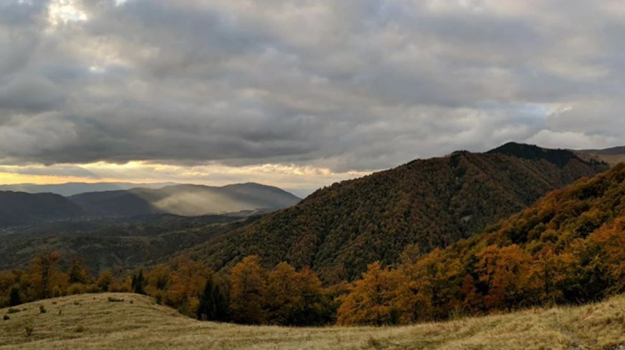 Сплошной антициклон: до конца недели будет преобладать сухая и солнечная погода
