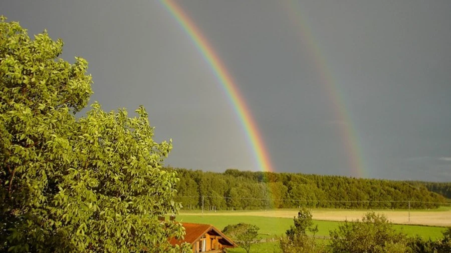 Погода на вихідні: в Україні буде по-літньому тепло, місцями дощитиме