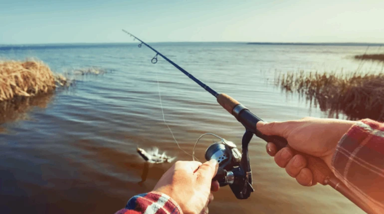 На карася чи на окуня? Досвідчені рибалки радять, як зловити свою першу рибу