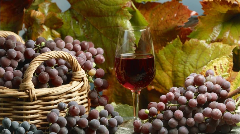 З 1 січня запрацюють нові правила для виноградарів та виноробів: що зміниться