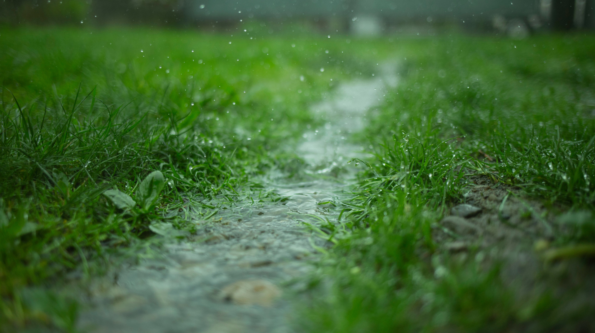 Синоптики прогнозують українцям дощовий четвер