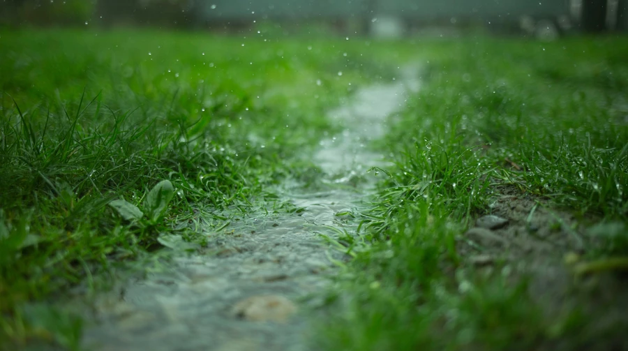 Синоптики прогнозируют украинцам дождливый четверг