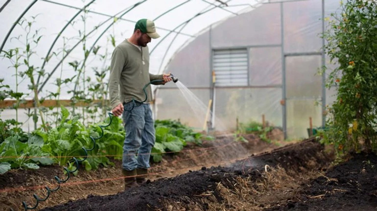 Гранти на сад і теплиці для фермерів від уряду. Чи виправдала програма сподівання бізнесу?
