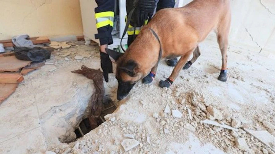 У ДСНС розповіли, як на дев'ятий день після землетрусу врятували жінку в Туреччині 