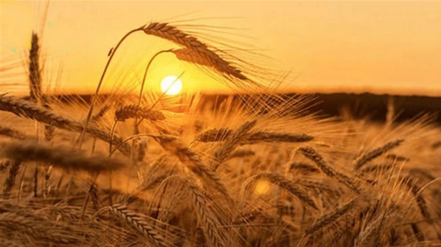 Рятувальники попереджають про надзвичайну пожежну небезпеку