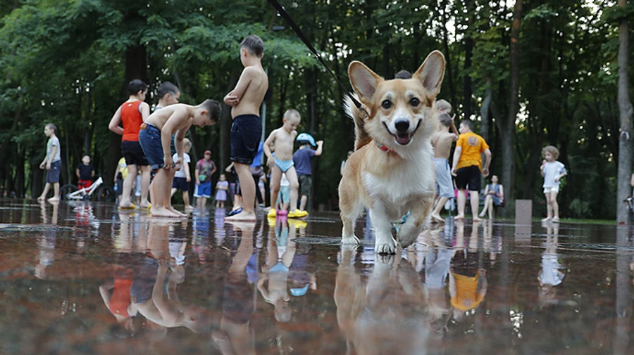 Винницкой области разрешили ослабить карантин