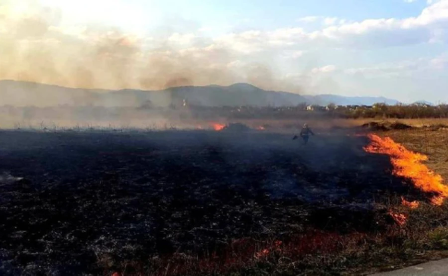 Оголосили підозру чоловіку, який двічі підпалив Долину нарцисів: згоріло 9 га
