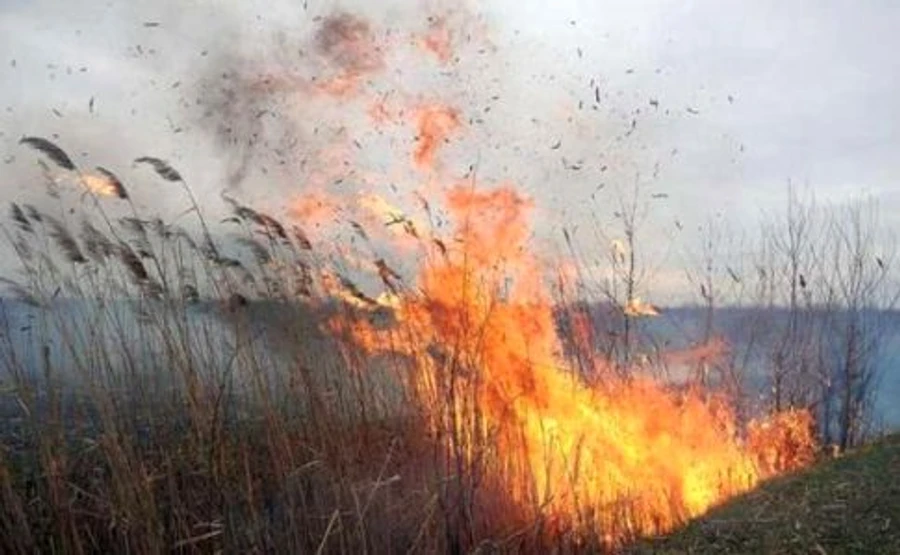 Из-за теплой зимы возросло количество пожаров – ГСЧС