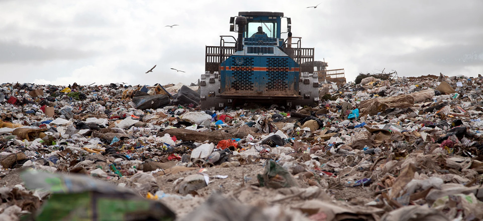 Завал Садового. Чому Львів потрапив у сміттєвий колапс