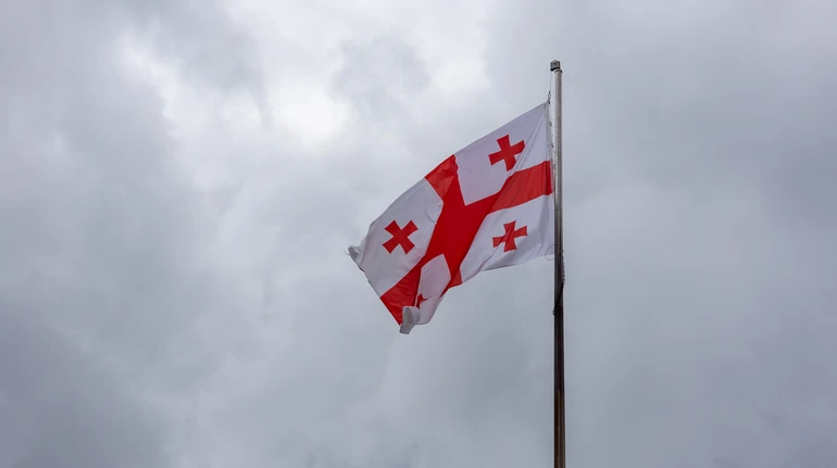 Семь оппозиционных партий в Грузии объединились для мирной смены режима