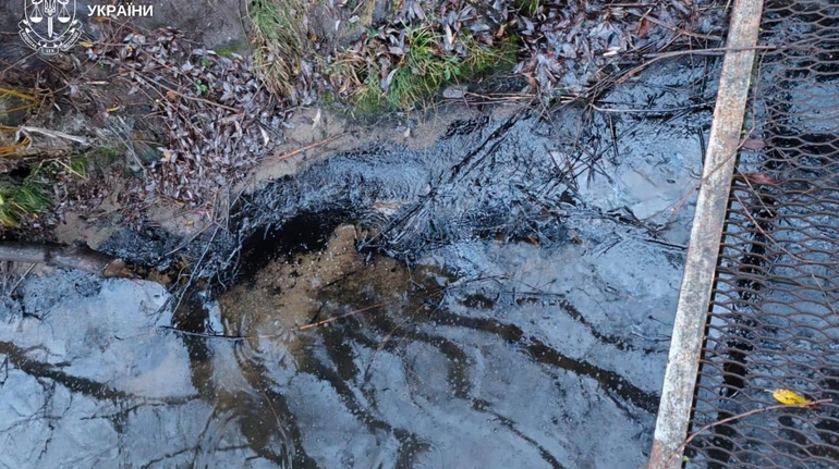 В ДТЭК рассказали, из-за чего их ТЭС вылила мазут в водохранилище
